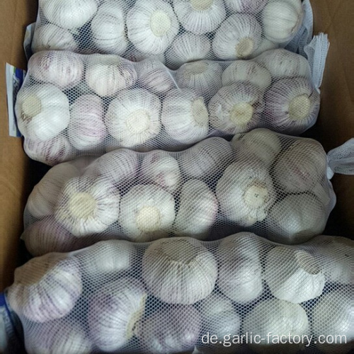 New Crop Frischer Knoblauch Marktpreis 1KG